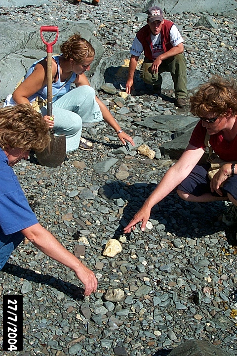 Crew members reach for ballast flint on Sleepy Cove beach. The caramel-coloured flint is a survival from ballast used in European ships and then later dumped to make room for fish. The extensive deposits here may mark the wreck of the Marguerite or the Murinet, both vessels from St Malo, sunk here by the Royal Navy in 1707